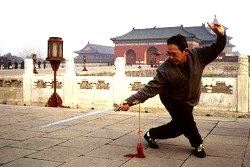 Feng tai chi sword